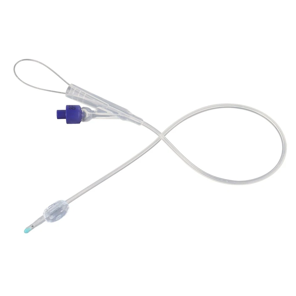 Indwelling Urinary Catheter Dog